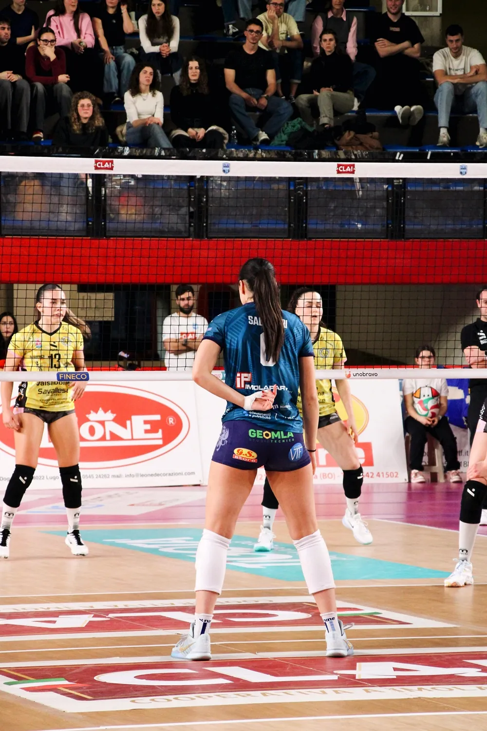 배구 경기 규칙 완벽 정리: 꼭 알아야 할 핵심 규칙 10가지